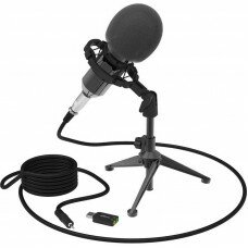 Микрофон Ritmix RDM-160